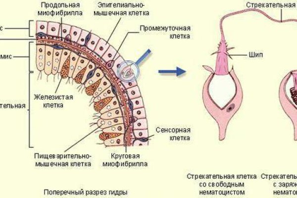 Кракен ссылка онлайн