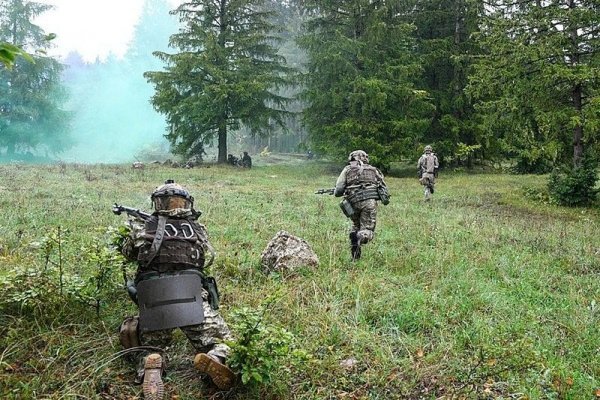 Кракен маркетплейс купить порошок